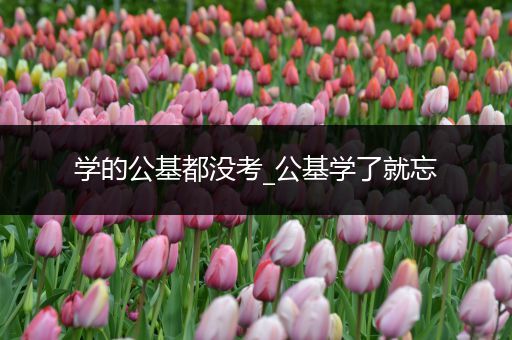 学的公基都没考_公基学了就忘