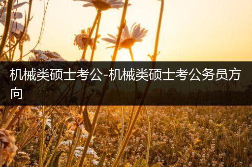 机械类硕士考公-机械类硕士考公务员方向