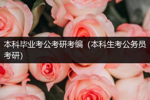 本科毕业考公考研考编（本科生考公务员考研）