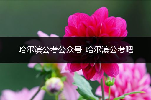 哈尔滨公考公众号_哈尔滨公考吧