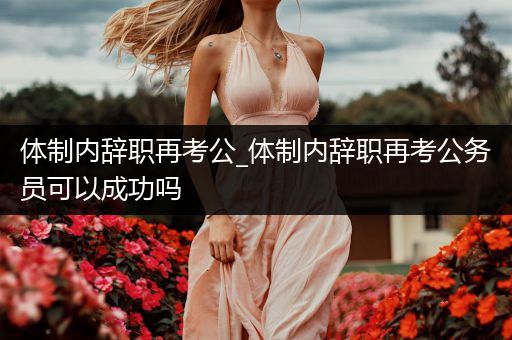 体制内辞职再考公_体制内辞职再考公务员可以成功吗