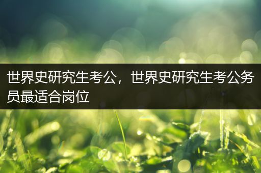 世界史研究生考公，世界史研究生考公务员最适合岗位