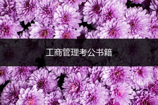 工商管理考公书籍