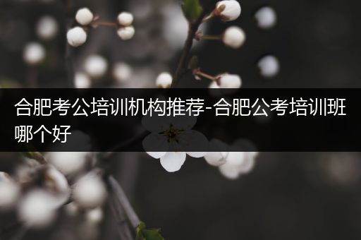 合肥考公培训机构推荐-合肥公考培训班哪个好