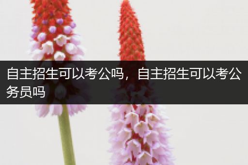 自主招生可以考公吗，自主招生可以考公务员吗