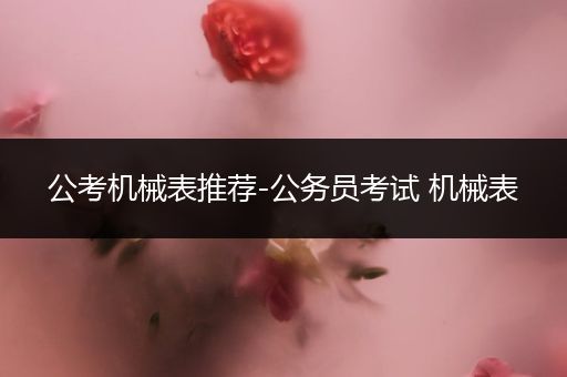 公考机械表推荐-公务员考试 机械表