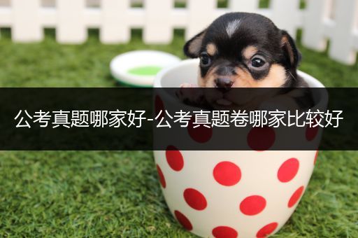 公考真题哪家好-公考真题卷哪家比较好