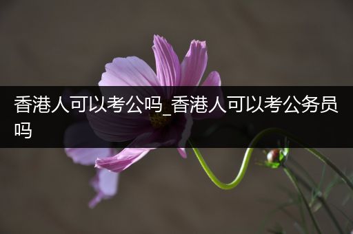 香港人可以考公吗_香港人可以考公务员吗