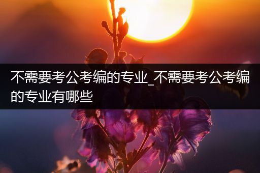 不需要考公考编的专业_不需要考公考编的专业有哪些