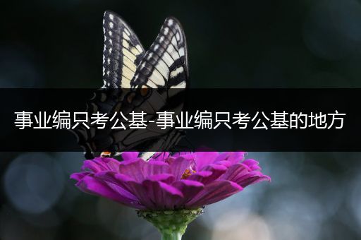 事业编只考公基-事业编只考公基的地方