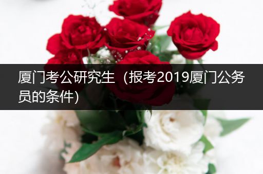 厦门考公研究生（报考2019厦门公务员的条件）