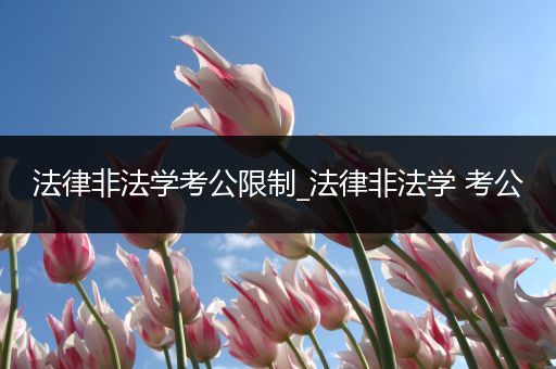 法律非法学考公限制_法律非法学 考公