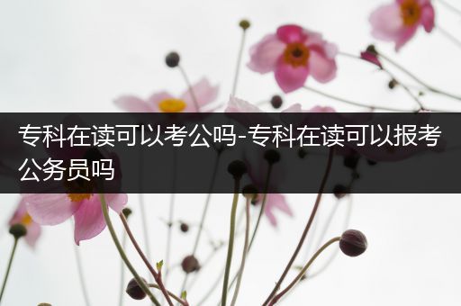 专科在读可以考公吗-专科在读可以报考公务员吗