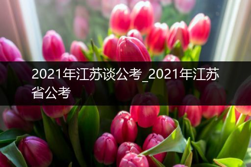 2021年江苏谈公考_2021年江苏省公考