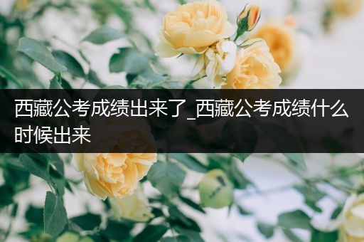 西藏公考成绩出来了_西藏公考成绩什么时候出来