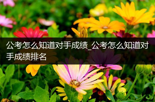 公考怎么知道对手成绩_公考怎么知道对手成绩排名