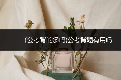 （公考背的多吗)公考背题有用吗