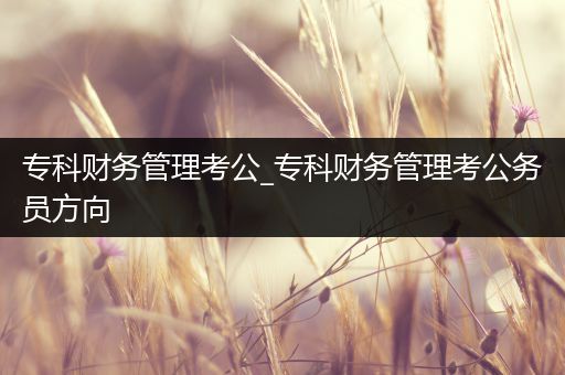 专科财务管理考公_专科财务管理考公务员方向