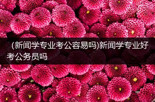 （新闻学专业考公容易吗)新闻学专业好考公务员吗