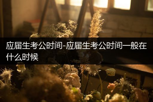 应届生考公时间-应届生考公时间一般在什么时候