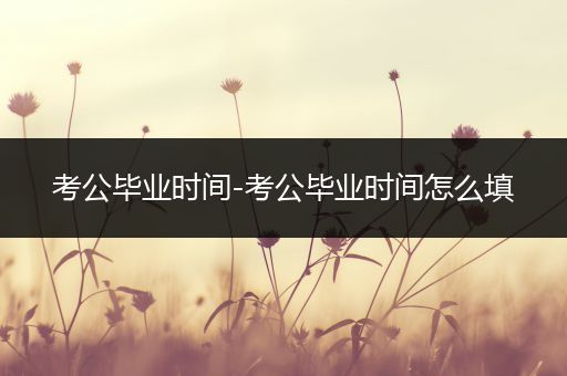 考公毕业时间-考公毕业时间怎么填