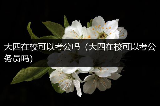 大四在校可以考公吗（大四在校可以考公务员吗）