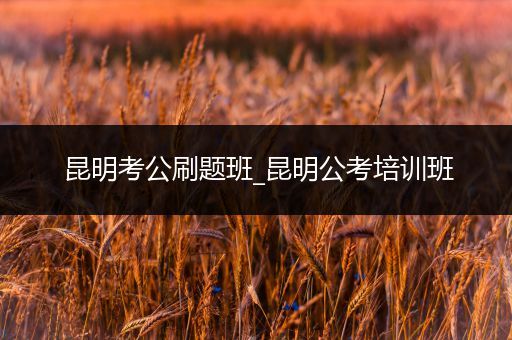 昆明考公刷题班_昆明公考培训班