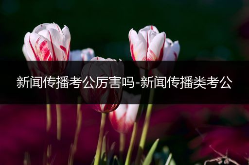 新闻传播考公厉害吗-新闻传播类考公