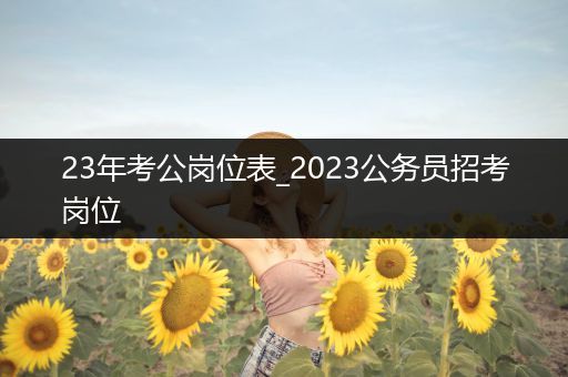 23年考公岗位表_2023公务员招考岗位