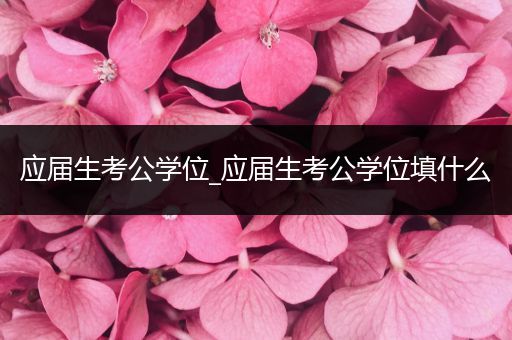 应届生考公学位_应届生考公学位填什么