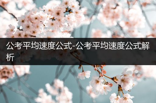 公考平均速度公式-公考平均速度公式解析