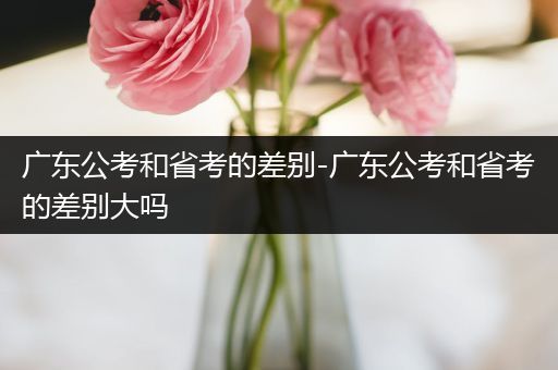 广东公考和省考的差别-广东公考和省考的差别大吗