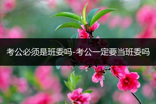 考公必须是班委吗-考公一定要当班委吗