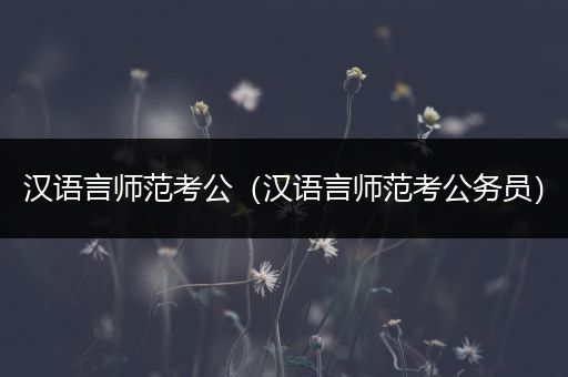 汉语言师范考公（汉语言师范考公务员）