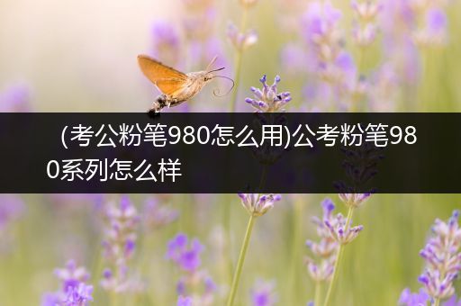 （考公粉笔980怎么用)公考粉笔980系列怎么样