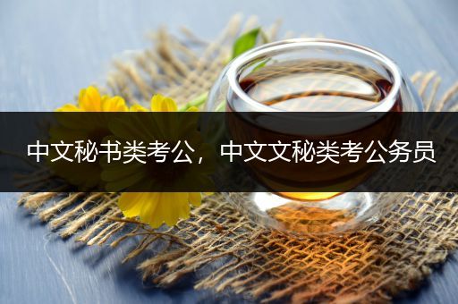 中文秘书类考公，中文文秘类考公务员