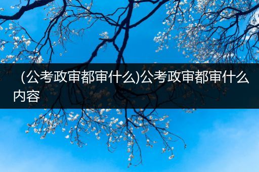 （公考政审都审什么)公考政审都审什么内容