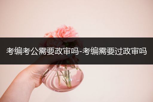 考编考公需要政审吗-考编需要过政审吗