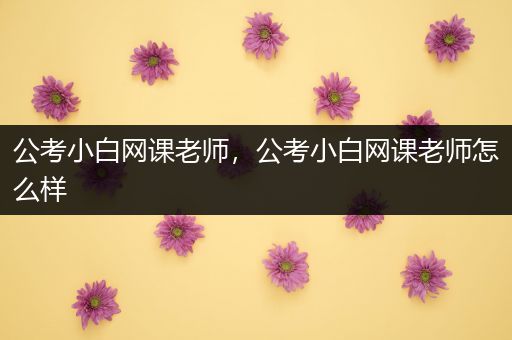 公考小白网课老师，公考小白网课老师怎么样