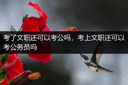 考了文职还可以考公吗，考上文职还可以考公务员吗