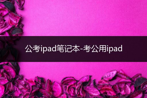 公考ipad笔记本-考公用ipad