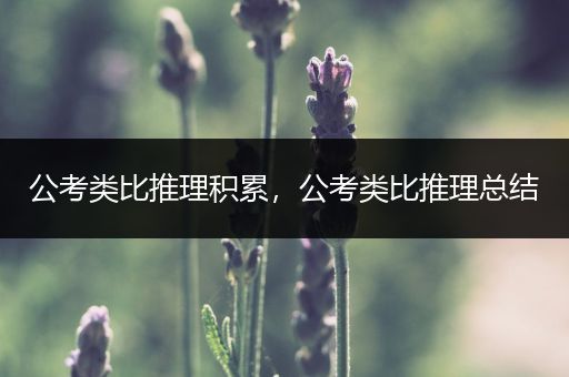 公考类比推理积累，公考类比推理总结