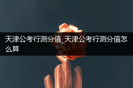 天津公考行测分值_天津公考行测分值怎么算