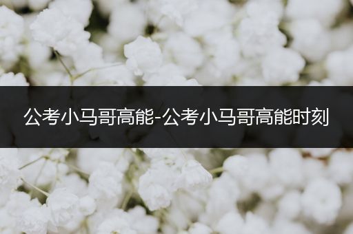 公考小马哥高能-公考小马哥高能时刻