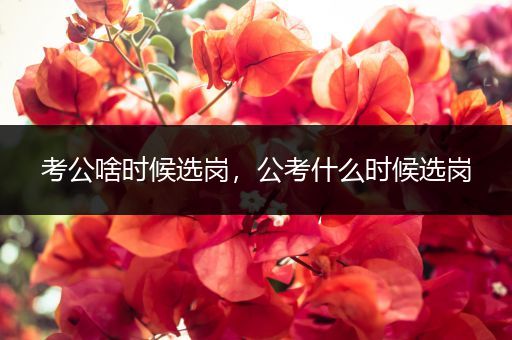 考公啥时候选岗，公考什么时候选岗