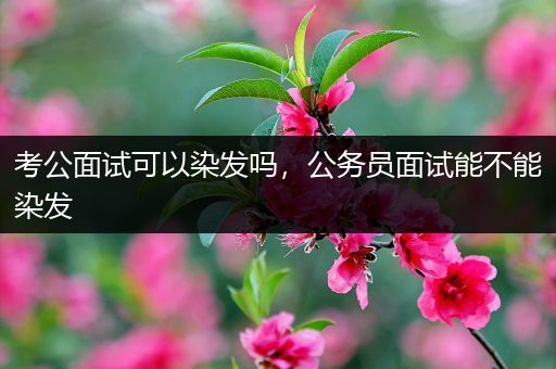 考公面试可以染发吗，公务员面试能不能染发