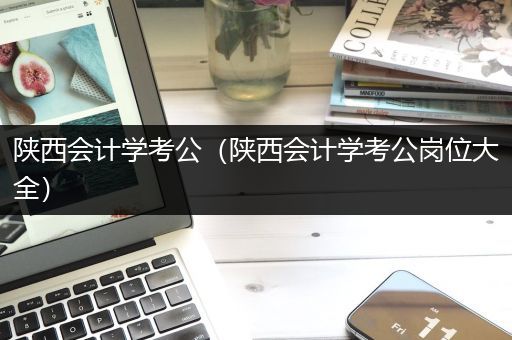 陕西会计学考公（陕西会计学考公岗位大全）