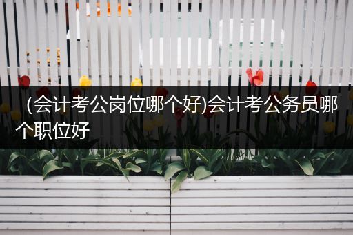 （会计考公岗位哪个好)会计考公务员哪个职位好