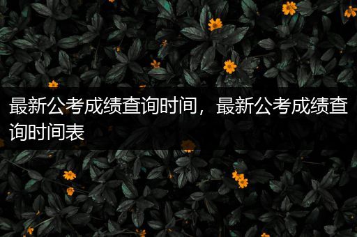 最新公考成绩查询时间，最新公考成绩查询时间表