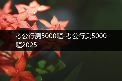 考公行测5000题-考公行测5000题2025